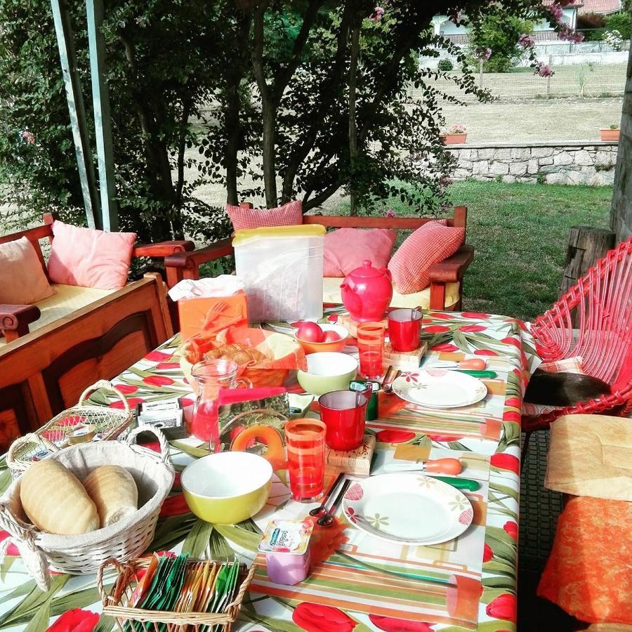 B&B Il Tempo Del Sogno Con Cani E Gatti Pet&Breakfast Baveno Exterior foto